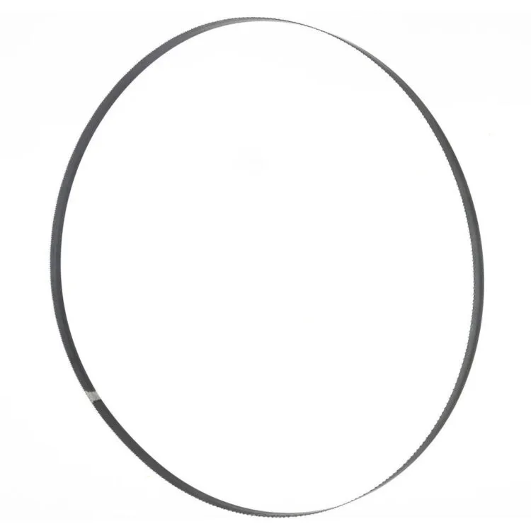 fita-de-serra-1638x13x065mm-10-14-m42-holzmann1.webp